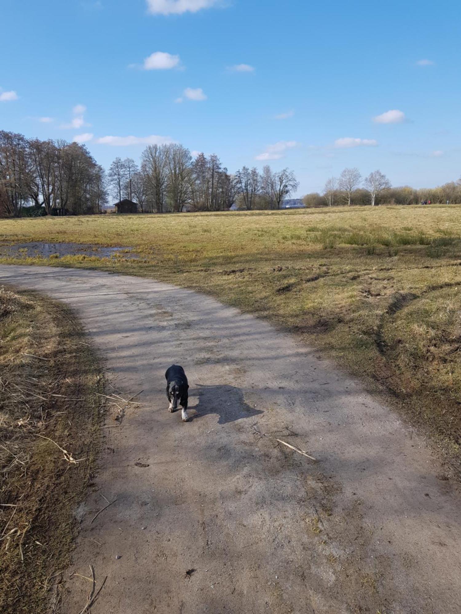 Wohlfuehloase Am Bad Zwischenahner Meer Luaran gambar